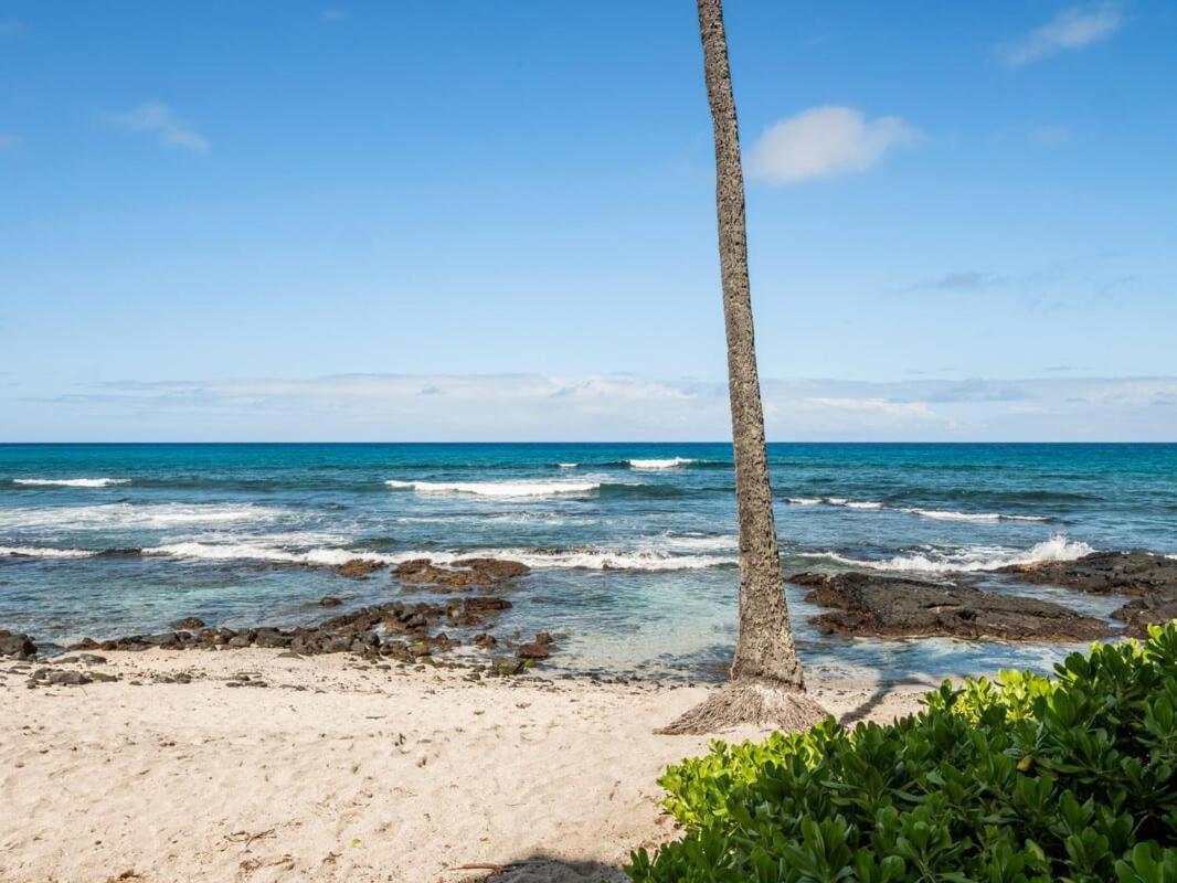 Oceanfront 1 Bedroom 2 Bathroom With Large Lanai - Kona Bali Kai 218 Kailua-Kona Buitenkant foto