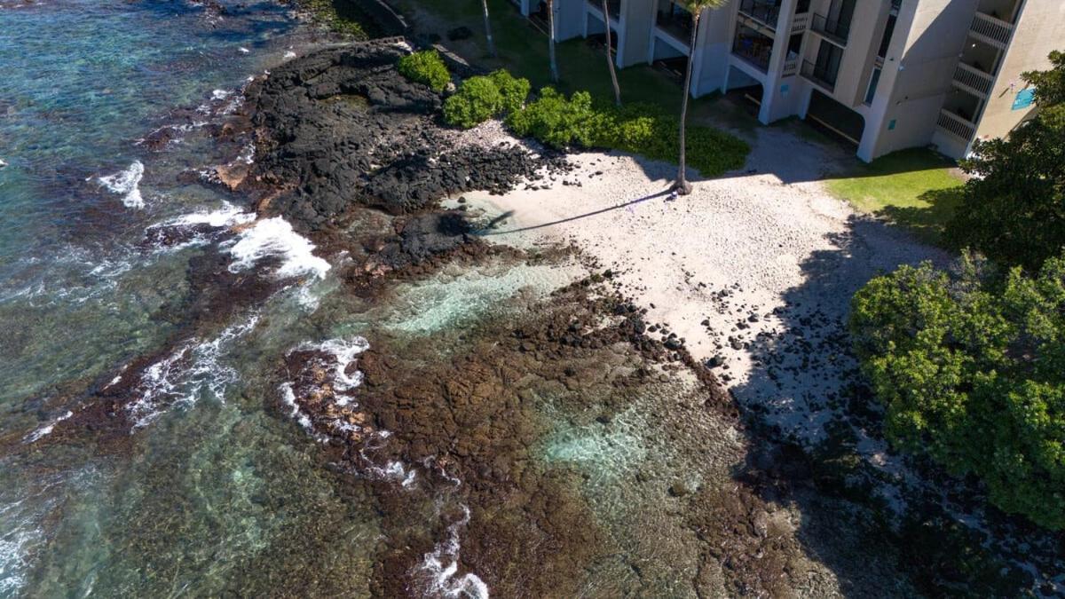 Oceanfront 1 Bedroom 2 Bathroom With Large Lanai - Kona Bali Kai 218 Kailua-Kona Buitenkant foto