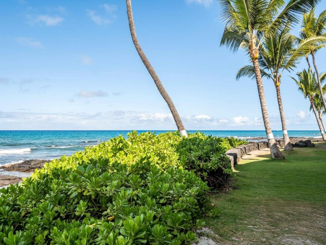 Oceanfront 1 Bedroom 2 Bathroom With Large Lanai - Kona Bali Kai 218 Kailua-Kona Buitenkant foto